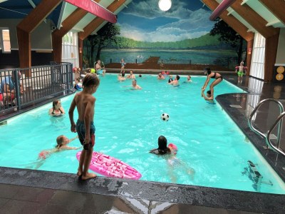 Holiday house Chalet in Voorthuizen with indoor pool - Outdoor photo 6