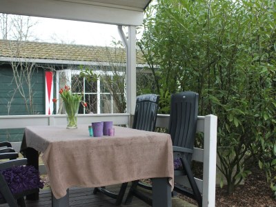 Holiday house Chalet in Voorthuizen with indoor pool - Outdoor photo 8