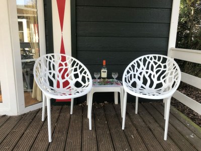 Holiday house Chalet in Voorthuizen with indoor pool - Outdoor photo 9