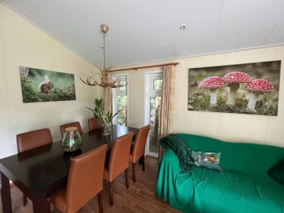 Holiday house Chalet in Voorthuizen with indoor pool - Features photo 18