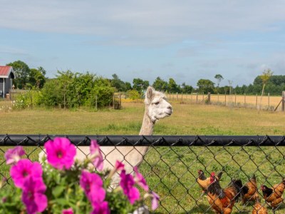 Holiday house Ferienhaus Koudekerke bei Stränden - Outdoor photo 4