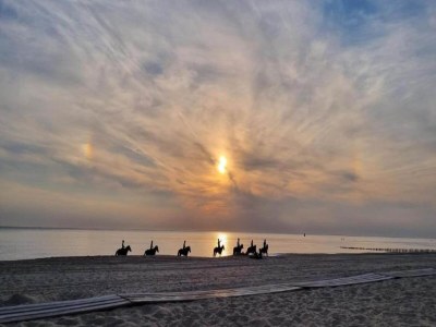 Holiday house Ferienhaus in Biggekerke am Strand - Environment photo 27