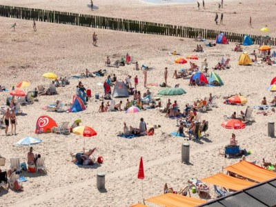 Holiday house Apartment in Zoutelande near the Beach - Environment photo 19