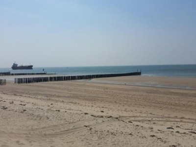 Holiday house Apartment in Zoutelande near the Beach - Environment photo 28