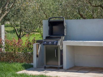 Holiday house Villa in Novigrad mit Pool und Meerblick - Outdoor photo 40