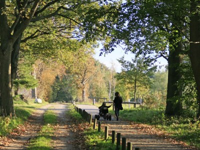 Holiday apartment Villa Harmonie - Apt. 2 - Environment photo 19