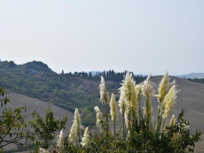 Farmhouse Bauernhaus nahe Siena & Thermalquellen - Environment photo 29