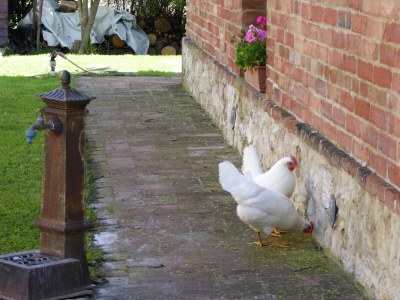Farmhouse Bauernhaus nahe Siena & Thermalquellen - Outdoor photo 36