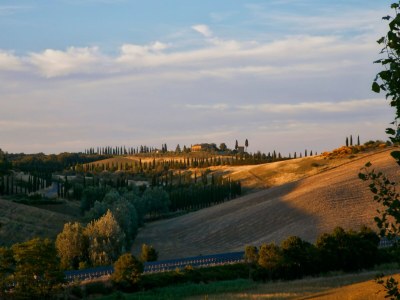 Farmhouse Tuscan Hilltop Farm Stay - Environment photo 28