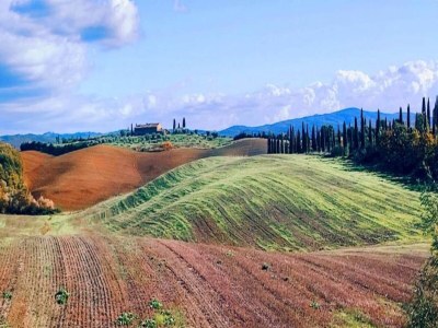 Farmhouse Rustikaler Rückzugsort mit Pool - Environment photo 25