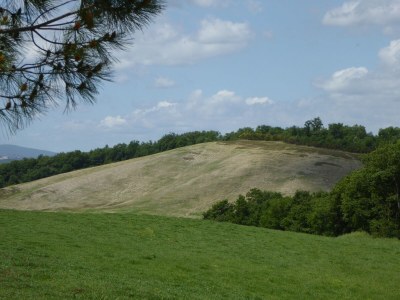 Farmhouse Bauernhaus in der Toskana bei Siena - Outdoor photo 7