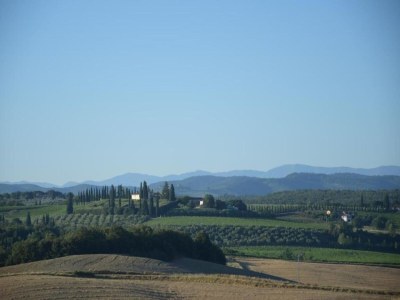 Farmhouse Bauernhaus in der Toskana bei Siena - Environment photo 26