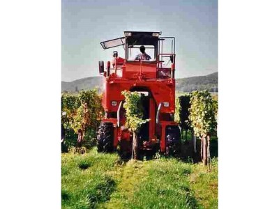 Holiday apartment "Haus Vroni" - Environment photo 12