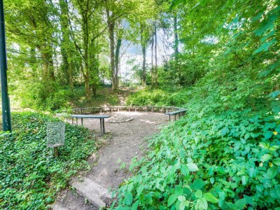 Holiday house Holiday Home in Ulestraten with Forest - Outdoor photo 10
