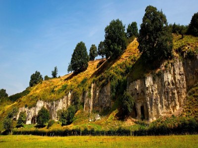 Holiday house Holiday Home in Ulestraten with Forest - Environment photo 29