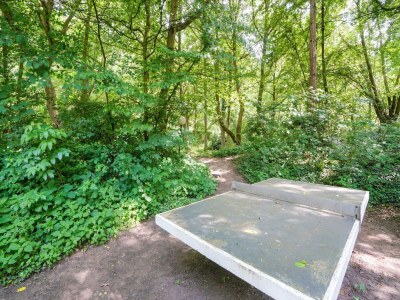 Holiday house Holiday Home in Ulestraten with Forest - Outdoor photo 40