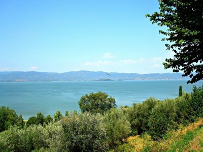 Apartment Holiday Home for Families in Umbrian - Environment photo 37