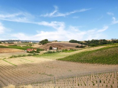 Farmhouse Bauernhaus in der Toskana mit Pool & Weinprobe - Environment photo 15