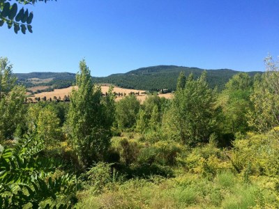 Farmhouse Bauernhaus in der Toskana mit Pool & Weinprobe - Environment photo 16