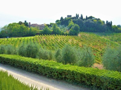 Farmhouse Bauernhaus in der Toskana mit Pool & Weinprobe - Environment photo 17