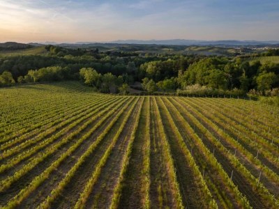Farmhouse Bauernhaus in der Toskana mit Pool & Weinprobe - Environment photo 21