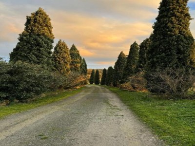 Farmhouse Bauernhaus in der Toskana mit Pool & Weinprobe - Environment photo 27