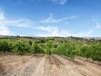 Farmhouse Bauernhaus in der Toskana mit Pool & Weinprobe - Environment photo 28