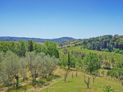 Farmhouse Bauernhaus in der Toskana mit Pool & Weinprobe - Environment photo 39