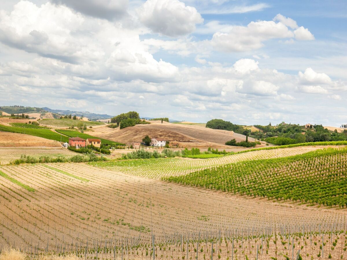 Farmhouse Spacious Tuscany Retreat - Outdoor photo 4