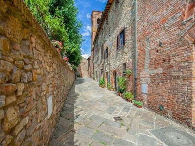 Farmhouse Spacious Tuscany Retreat - Environment photo 38