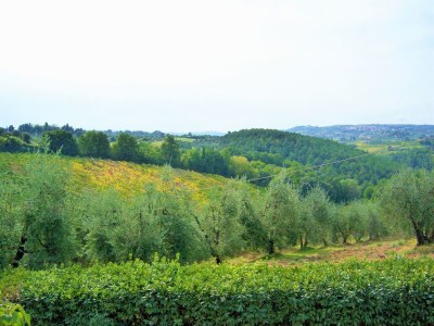 Farmhouse Varna Charm: Toskanischer Kurzurlaub - Outdoor photo 9