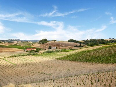 Farmhouse Varna Charm: Toskanischer Kurzurlaub - Outdoor photo 10