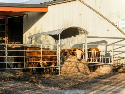 Holiday house Ferienhaus mit Terrasse - Environment photo 28