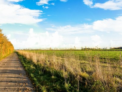 Holiday house Ferienhaus mit Terrasse - Environment photo 31