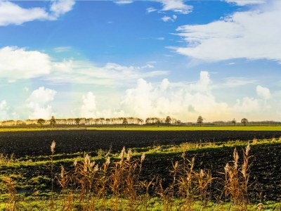 Holiday house Ferienhaus mit Terrasse - Environment photo 33