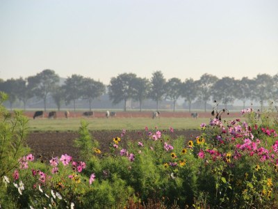 Holiday house Ferienhaus mit Terrasse - Environment photo 34