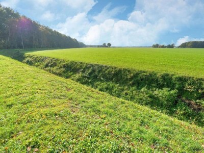 Holiday house Chalet im Wald mit Pool - Environment photo 30