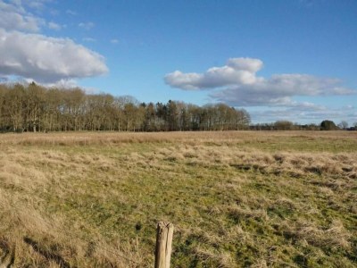 Holiday house Chalet im Wald mit Pool - Environment photo 32