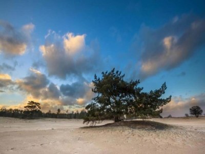 Holiday house Chalet im Wald mit Pool - Environment photo 34