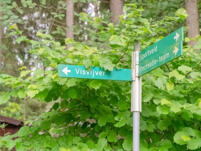 Holiday house Chalet im Wald mit Pool - Outdoor photo 39