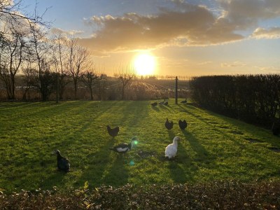 Holiday house Cottage in Paesens near Wadden Sea - Outdoor photo 3