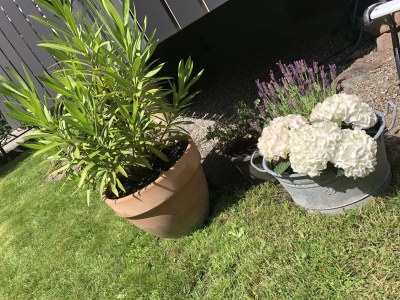 Holiday apartment No title - Outdoor photo 3