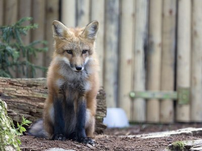 Holiday apartment No title - Environment photo 40