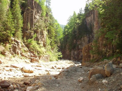 Apartment Villa Antonius - Environment photo 32