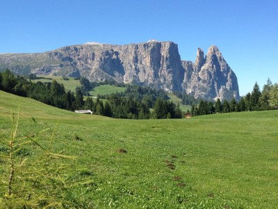 Apartment Villa Antonius - Environment photo 36