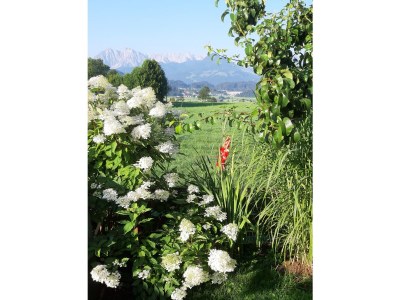 Holiday apartment Balcony Holiday Apartment 3 - Outdoor photo 5