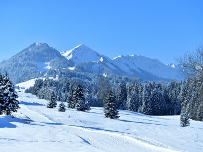 Holiday apartment Dagmar Cottage - Outdoor photo 7