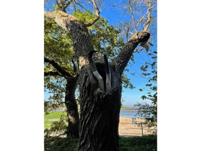 Holiday house Haus Nordsee - Süchtig - Environment photo 22