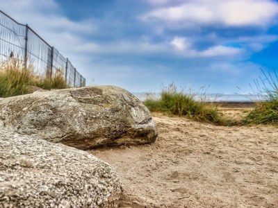Holiday house Haus Nordsee - Süchtig - Environment photo 27