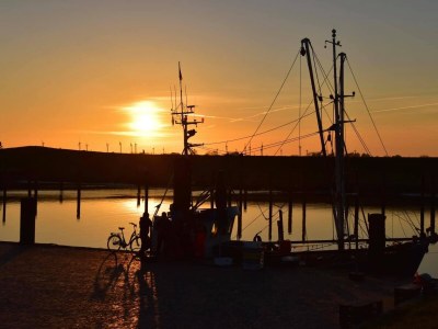 Holiday house Haus Nordsee - Süchtig - Environment photo 28